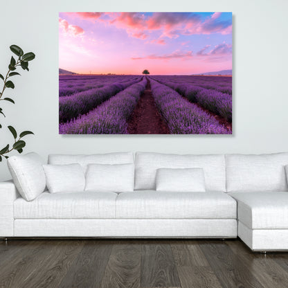 Lavender Fields Wall Art Canvas Print