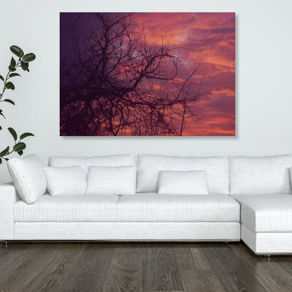 A Summers Night Wall Art Canvas Print