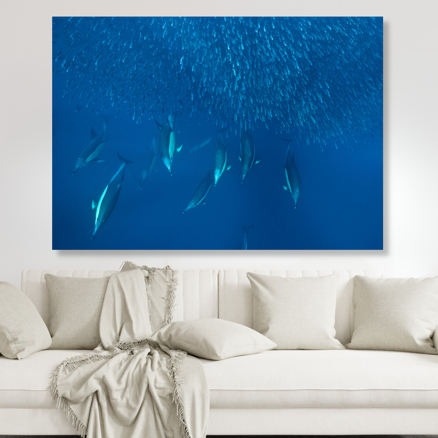 Ocean Dolphins Hunting Sardines Wall Art Canvas Print