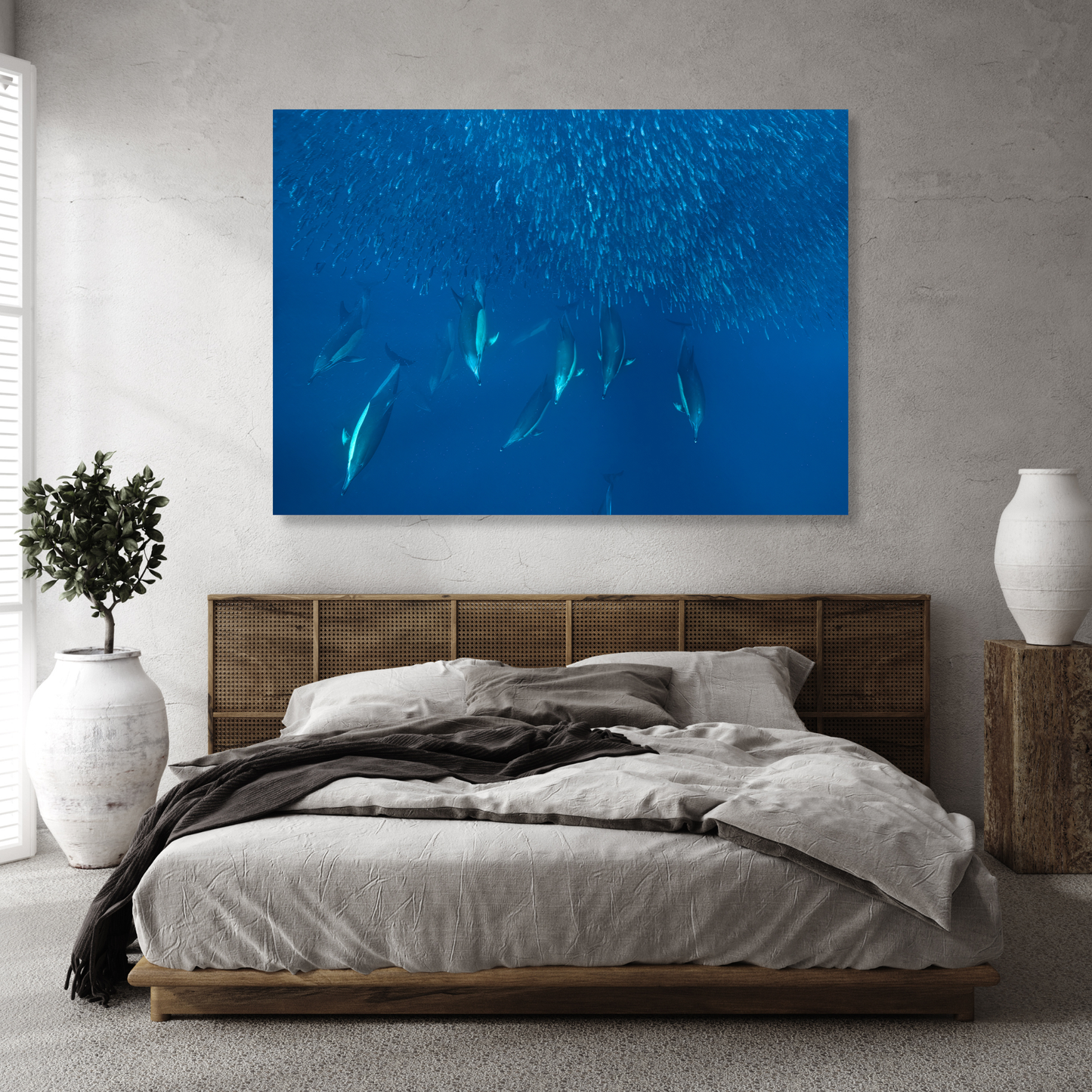 Ocean Dolphins Hunting Sardines Wall Art Canvas Print