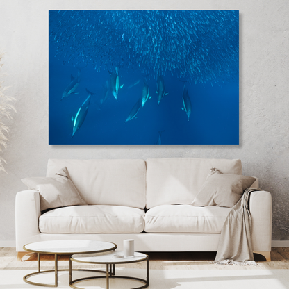 Ocean Dolphins Hunting Sardines Wall Art Canvas Print