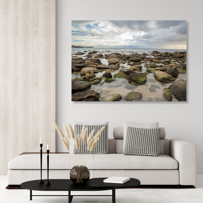 Ocean Moss