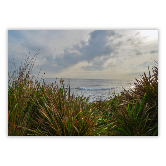 Ocean View
