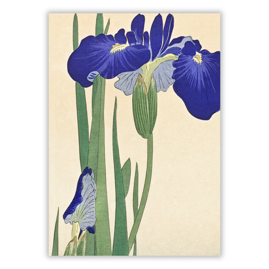Ohara Koson - Blue Irises
