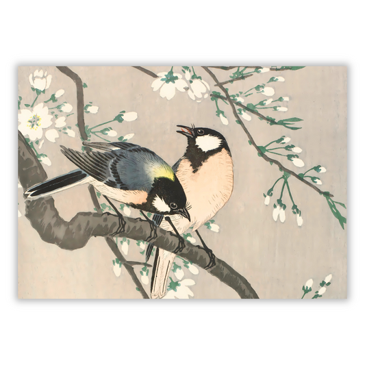 Ohara Koson - Tits on Cherry Branch