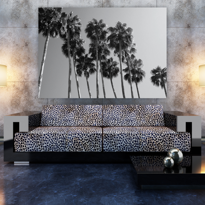 Palm Trees