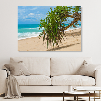 Pandanus On The Beach Wall Art Canvas Print