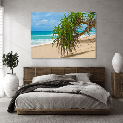 Pandanus On The Beach Wall Art Canvas Print