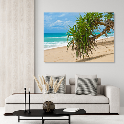 Pandanus On The Beach Wall Art Canvas Print