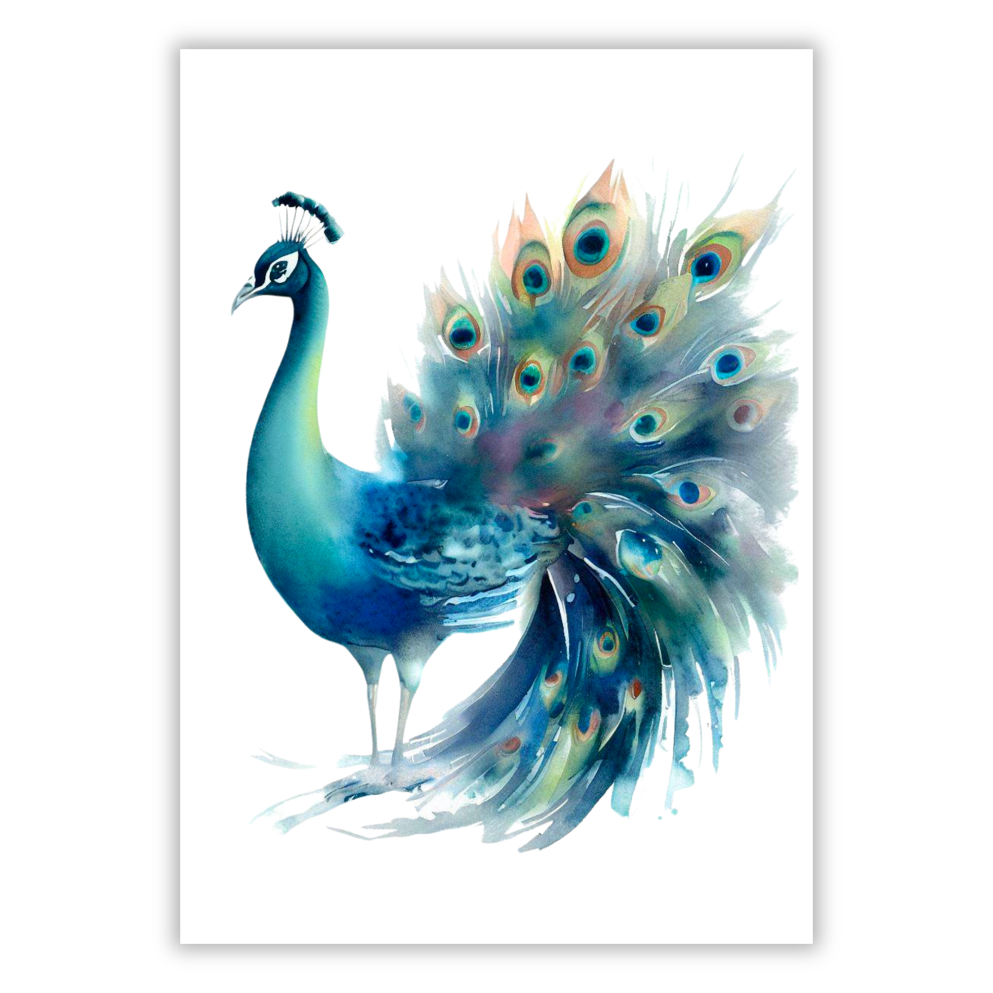 Peacock In Watercolour Wall Art Canvas Print