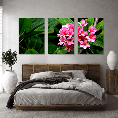 Pink Frangipani's Set of 3 Wall Art Canvas Prints