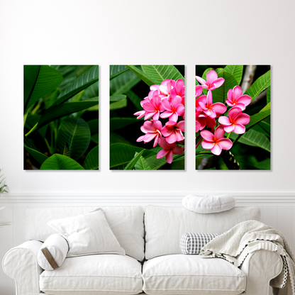 Pink Frangipani's Set of 3 Wall Art Canvas Prints