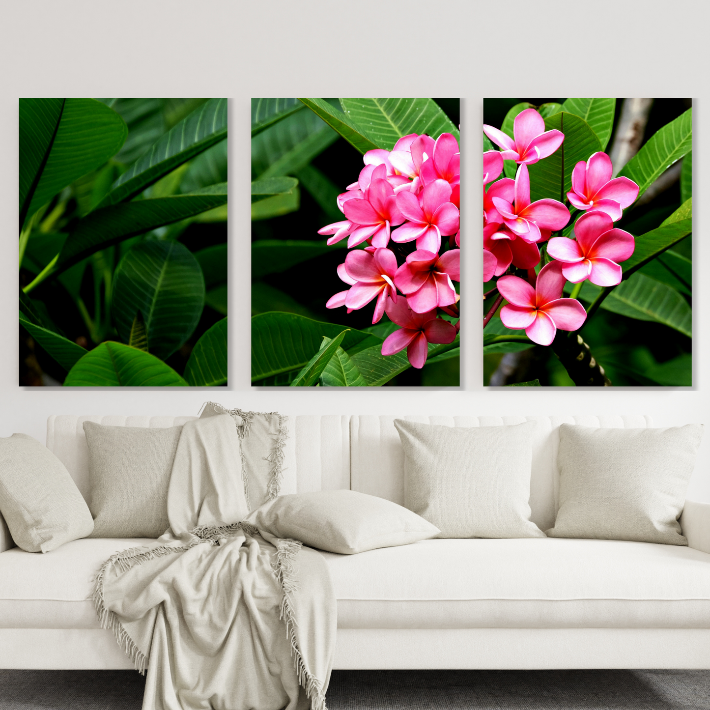 Pink Frangipani's Set of 3 Wall Art Canvas Prints