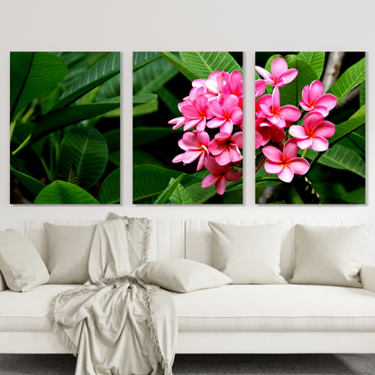 Pink Frangipani's Set of 3 Wall Art Canvas Prints