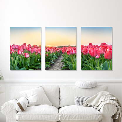Pink Tulips Set of 3 Wall Art Canvas Prints