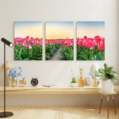 Pink Tulips Set of 3 Wall Art Canvas Prints
