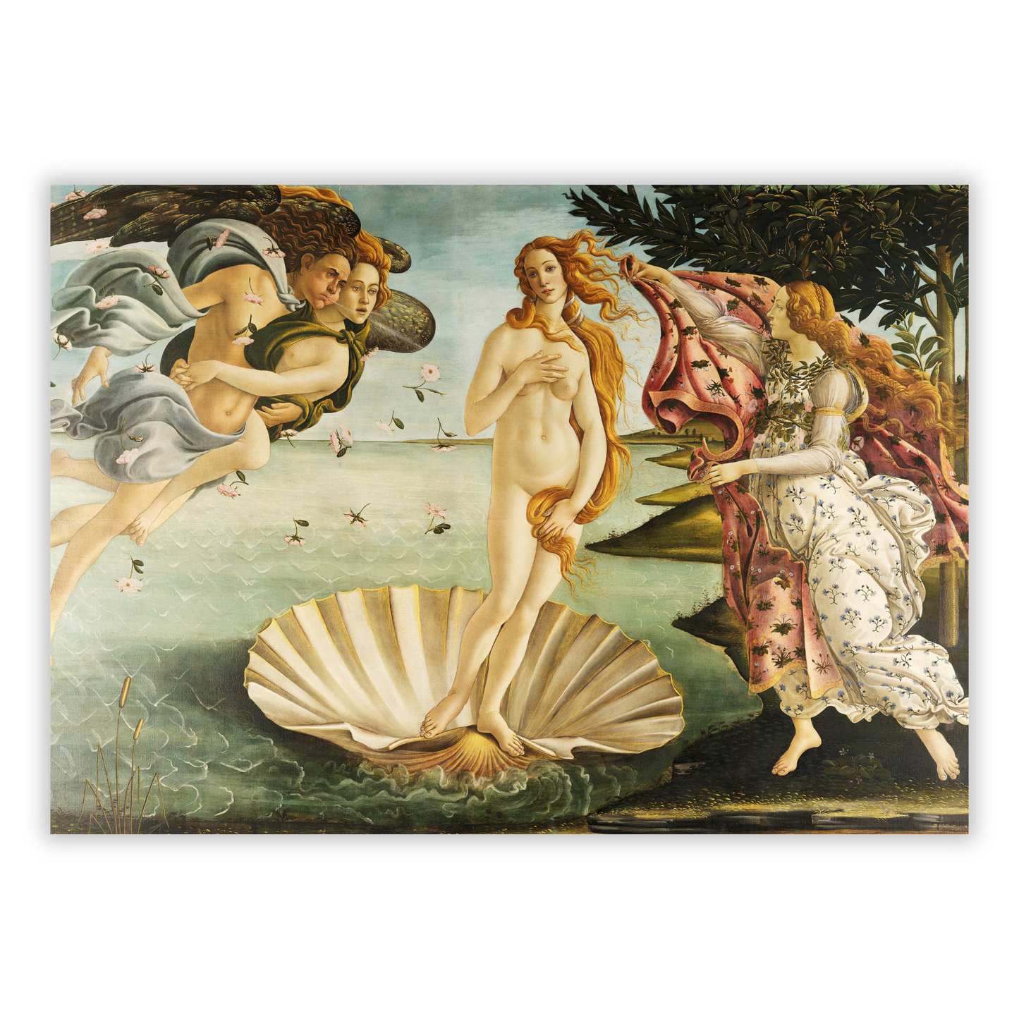 Sandro Botticelli - The Birth Of Venus Wall Art Canvas Print