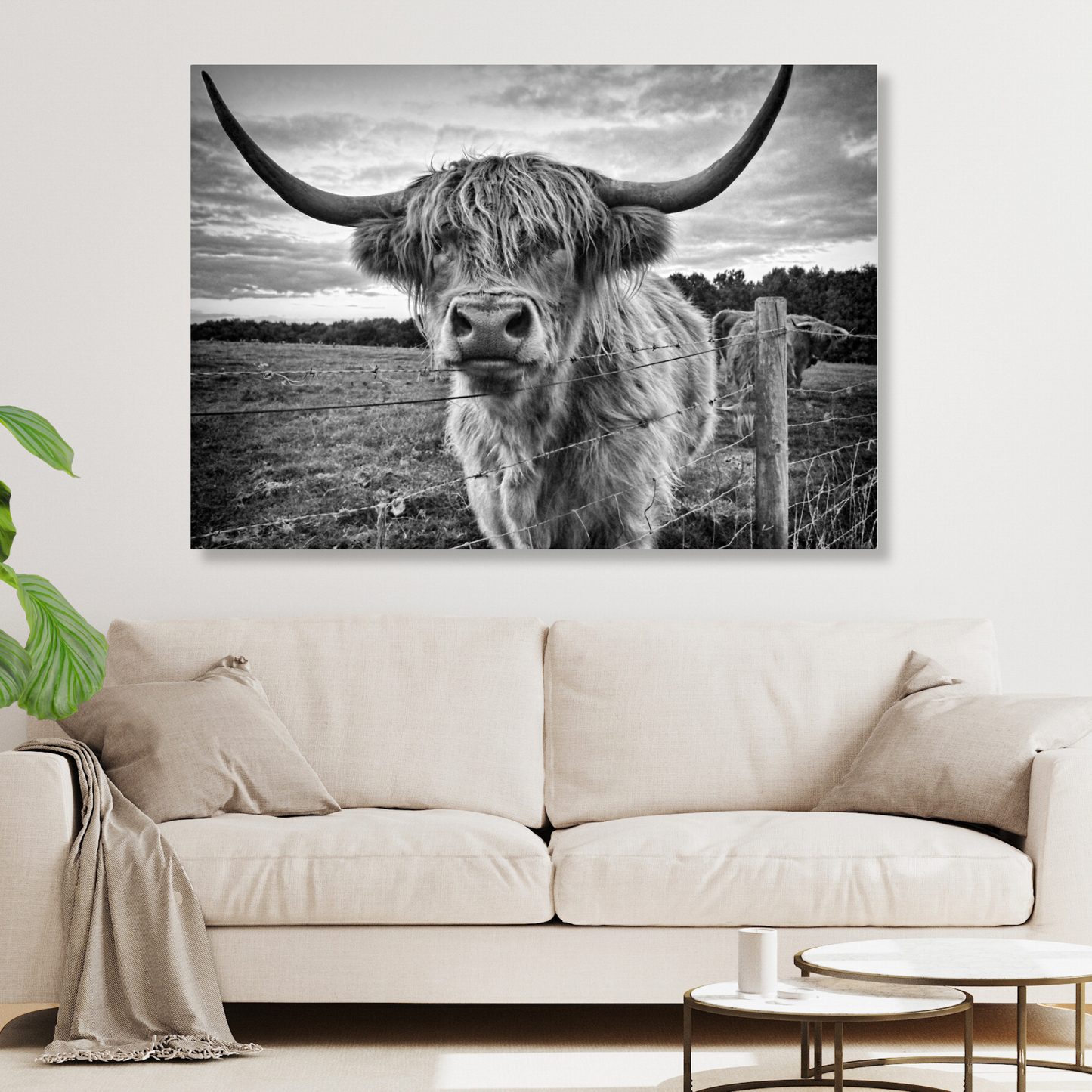 Scottish Highland Cow Animal Kingdom Wall Art Canvas Print
