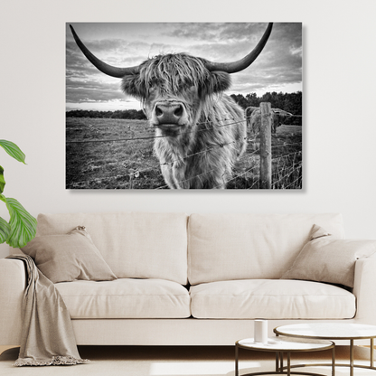 Scottish Highland Cow Animal Kingdom Wall Art Canvas Print