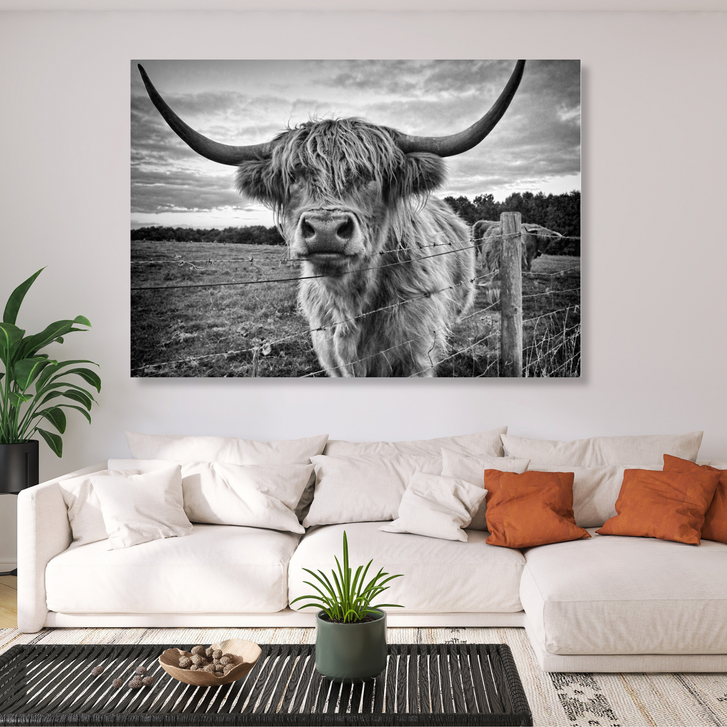 Scottish Highland Cow Animal Kingdom Wall Art Canvas Print