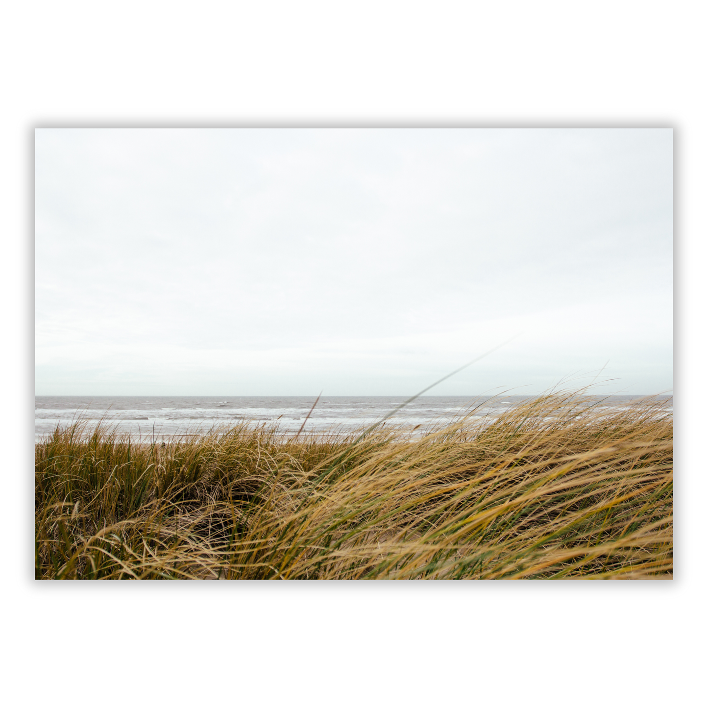 Seagrass Wall Art Canvas Print
