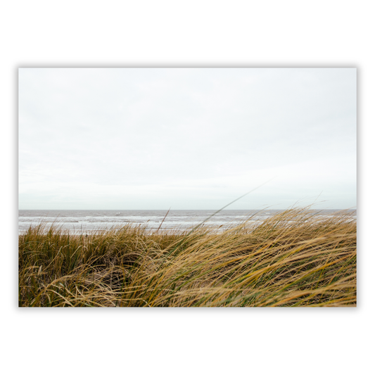 Seagrass Wall Art Canvas Print