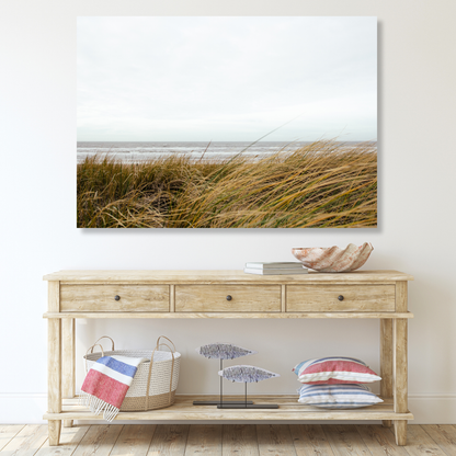Seagrass Wall Art Canvas Print