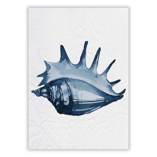 Blue Hamptons Sea Shell Wall Art Canvas Print