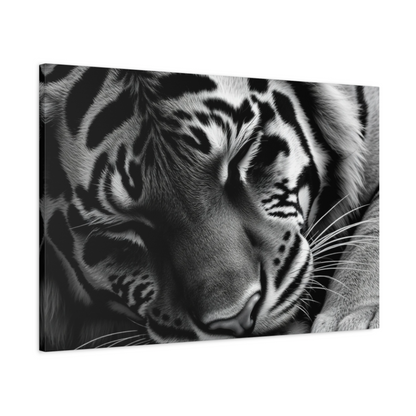 Sleeping Tiger Wall Art Canvas Print