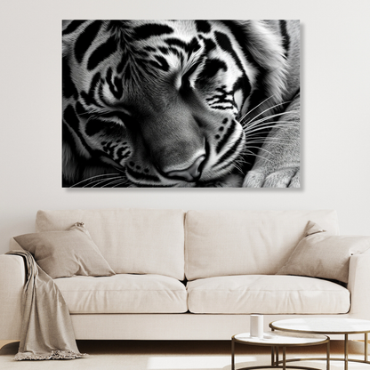 Sleeping Tiger Wall Art Canvas Print