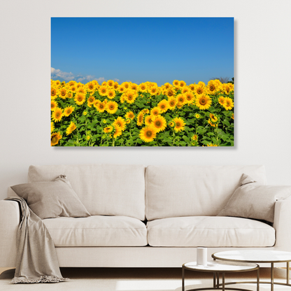 Sunflowers Wall Art Canvas Print