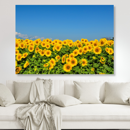 Sunflowers Wall Art Canvas Print