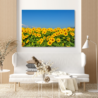 Sunflowers Wall Art Canvas Print