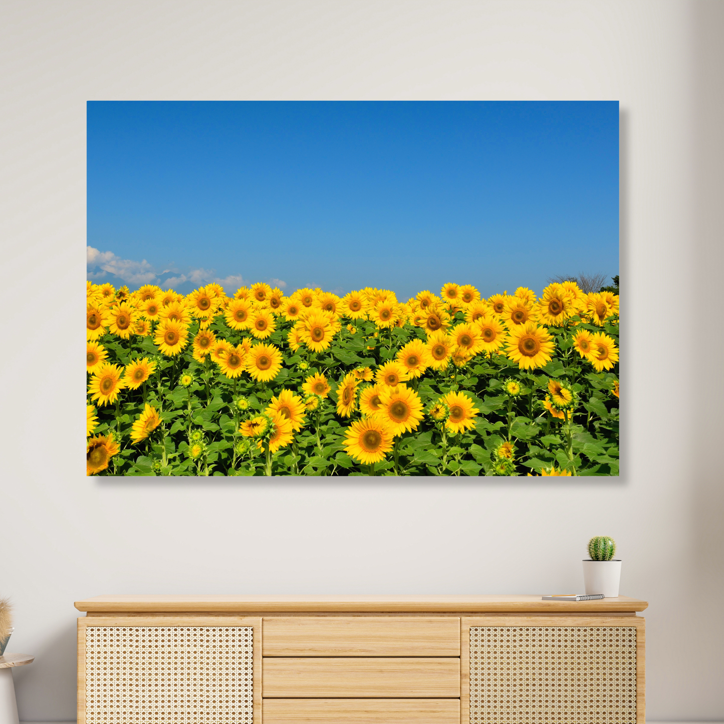 Sunflowers Wall Art Canvas Print