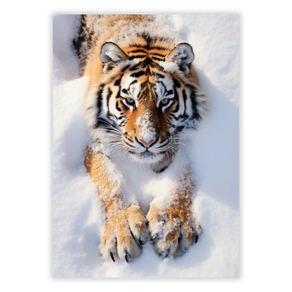 Tiger In The Snow Wall Art Canvas Print
