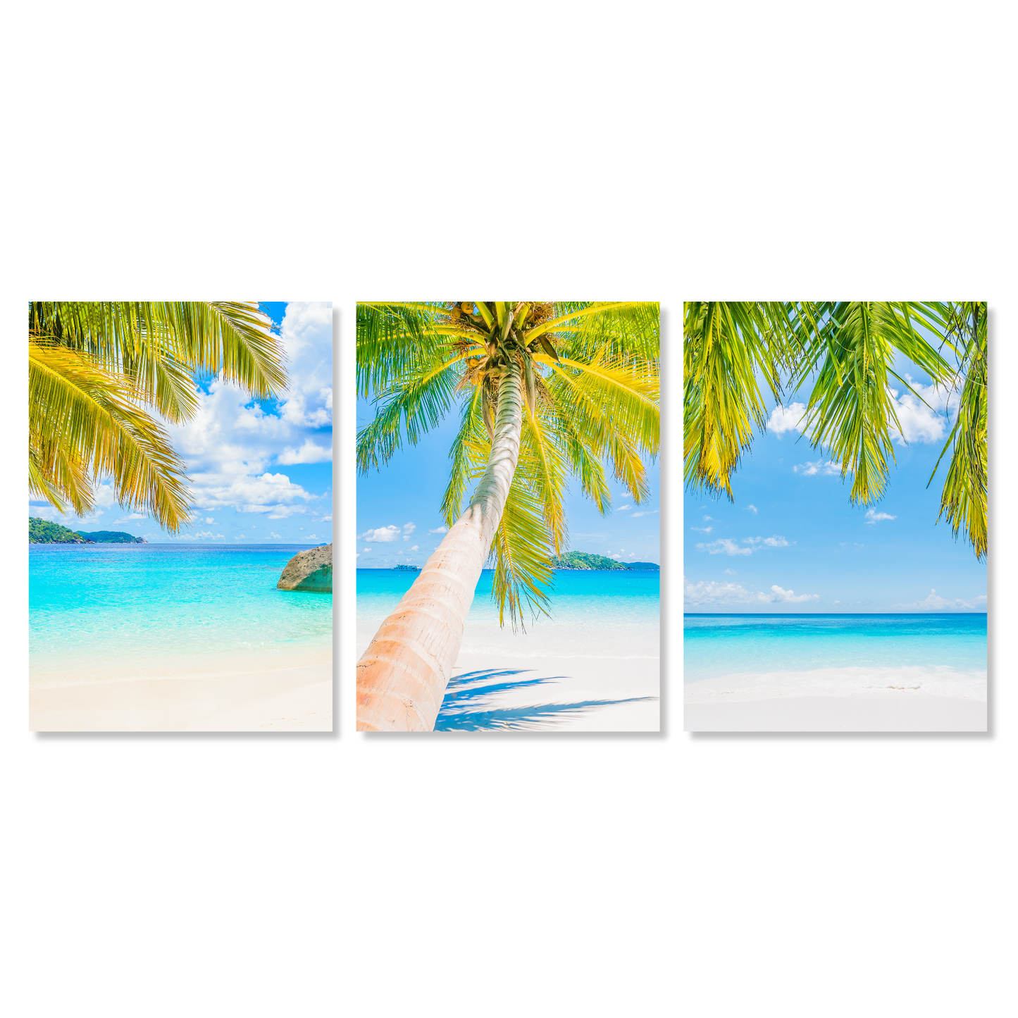 Tropical Days Set of 3 Wall Art Canvas Prints
