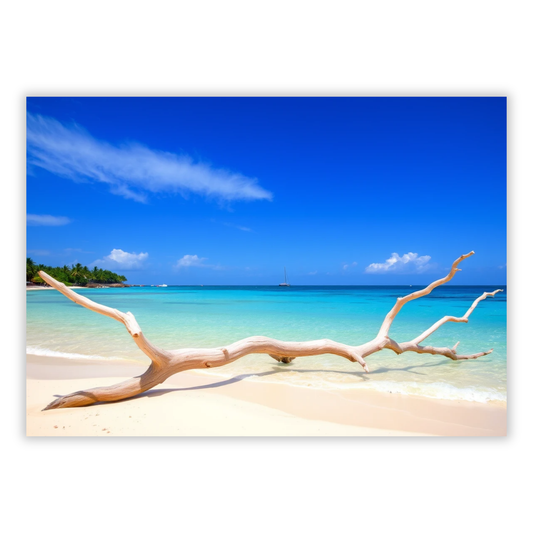 Turquoise Driftwood Wall Art Canvas Print