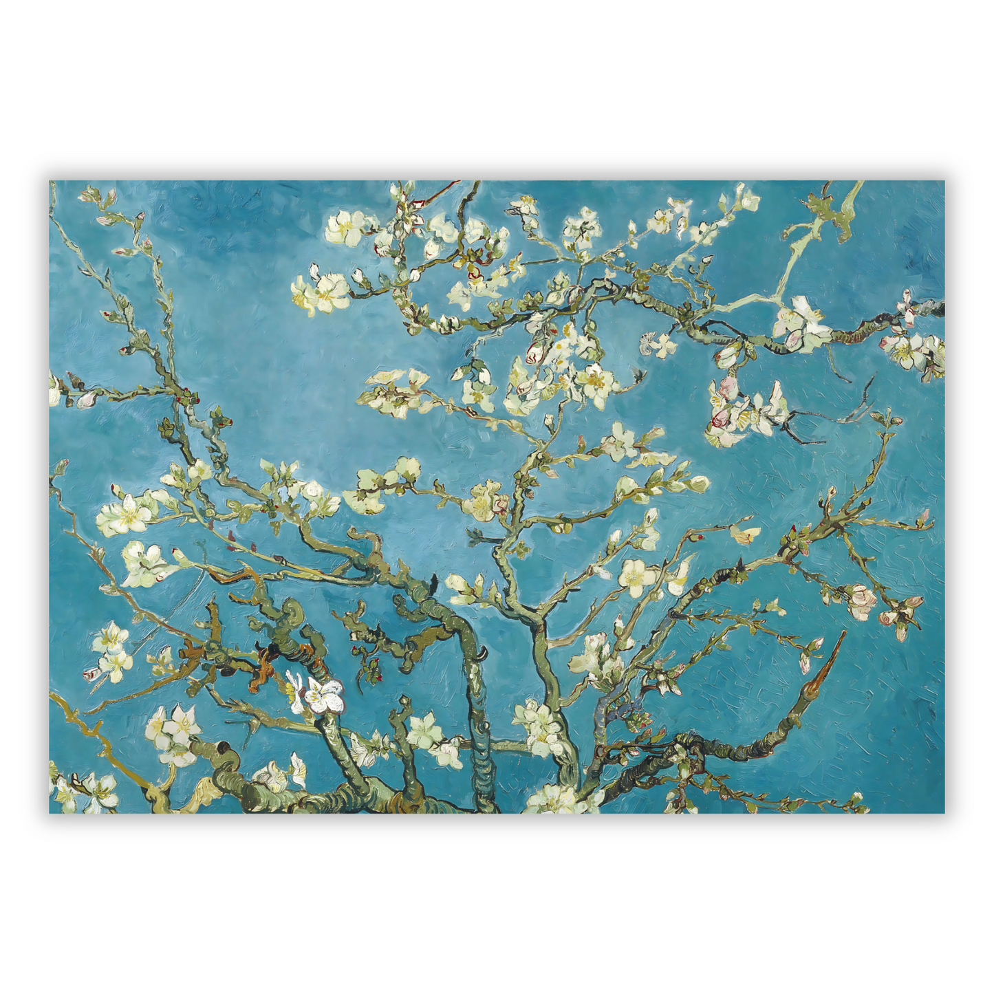 Vincent Van Gogh - Almond Blossom