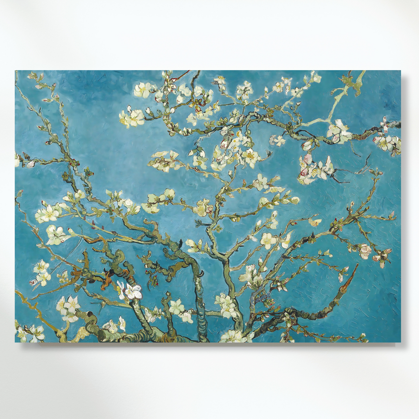 Vincent Van Gogh - Almond Blossom