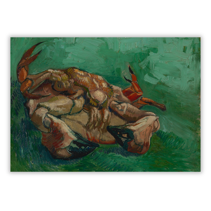 Vincent Van Gogh - Crustacean Lying On His Back (Crab) Wall Art Canvas Print