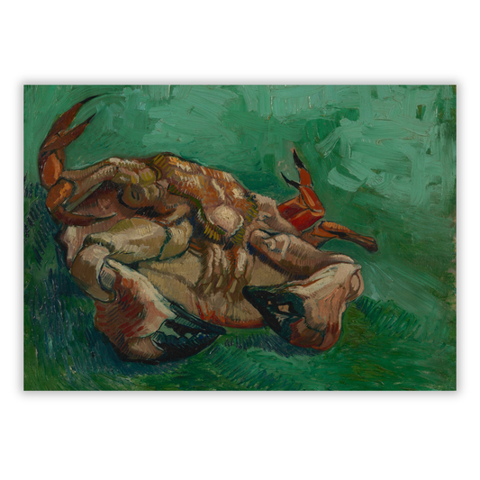 Vincent Van Gogh - Crustacean Lying On His Back (Crab) Wall Art Canvas Print