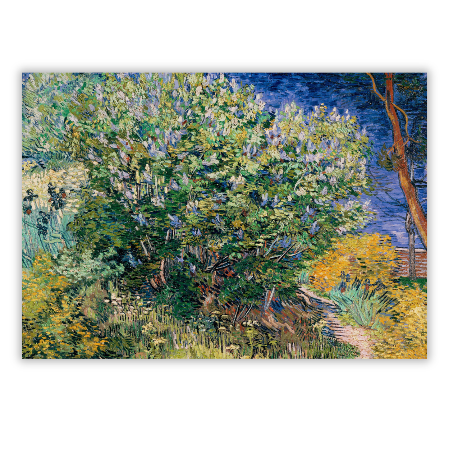 Vincent Van Gogh - Lilacs Wall Art Canvas Print