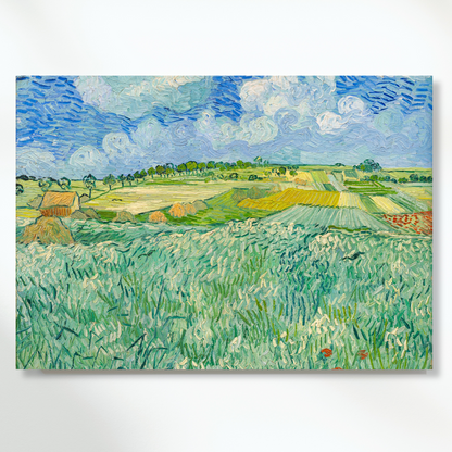 Vincent Van Gogh - Plain at Auvers