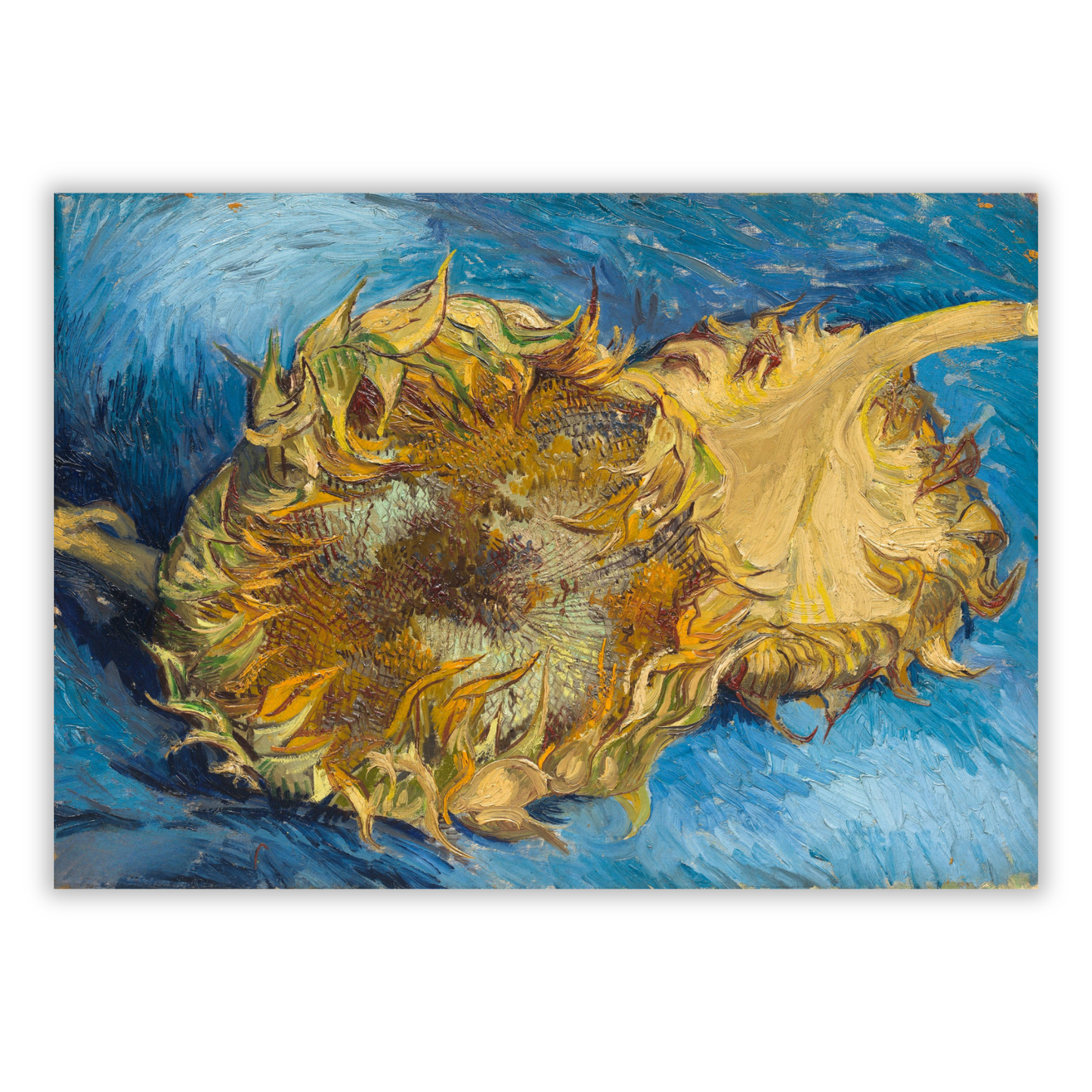 Vincent Van Gogh - Sunflowers Wall Art Canvas Print