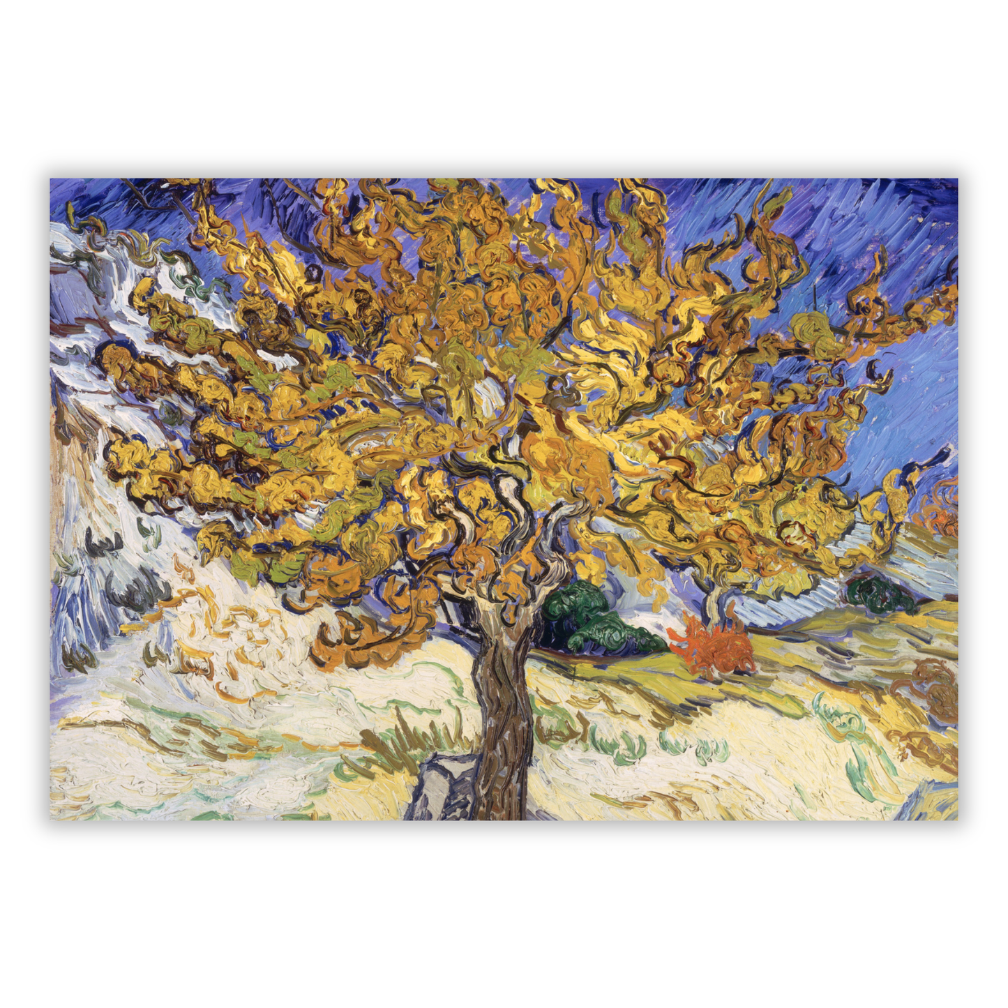 Vincent Van Gogh - The Mulberry Tree Wall Art Canvas Print