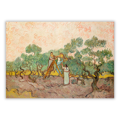 Vincent Van Gogh - Women Picking Olives Wall Art Canvas Print