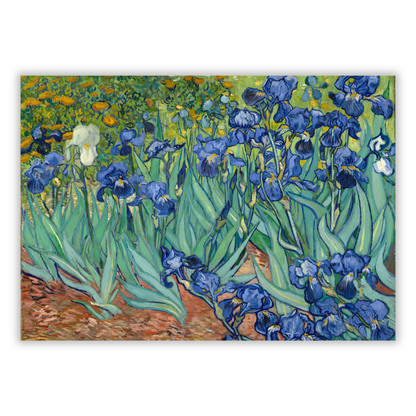 Vincent Van Gogh - Irises