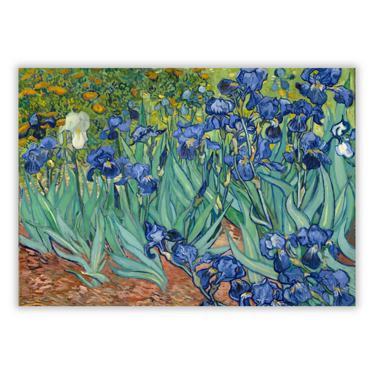 Vincent Van Gogh - Irises