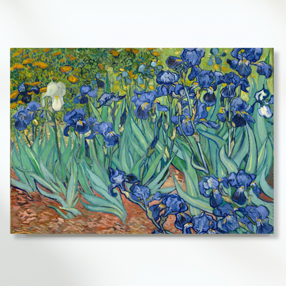 Vincent Van Gogh - Irises