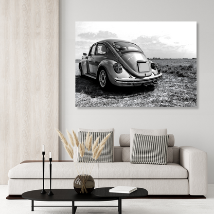 Vintage Beetle